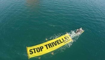 Il 2015 di Greenpeace, un anno di azioni in difesa del Pianeta