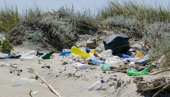 inquinamento-spiagge